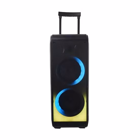 Temeisheng Dual 8inch Big Bass Woofer Outdoor Party Bluetooth Speaker